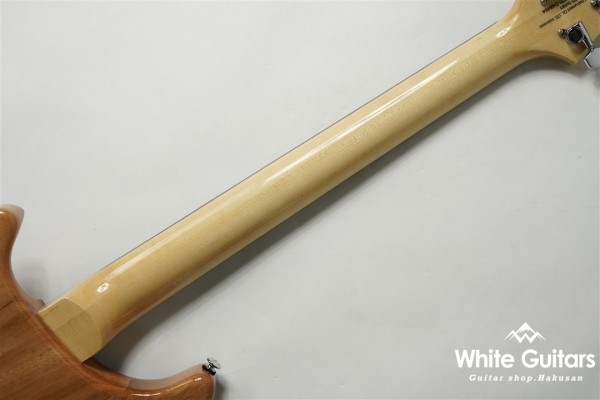 SE Custom 24 - Faded Blue Burst